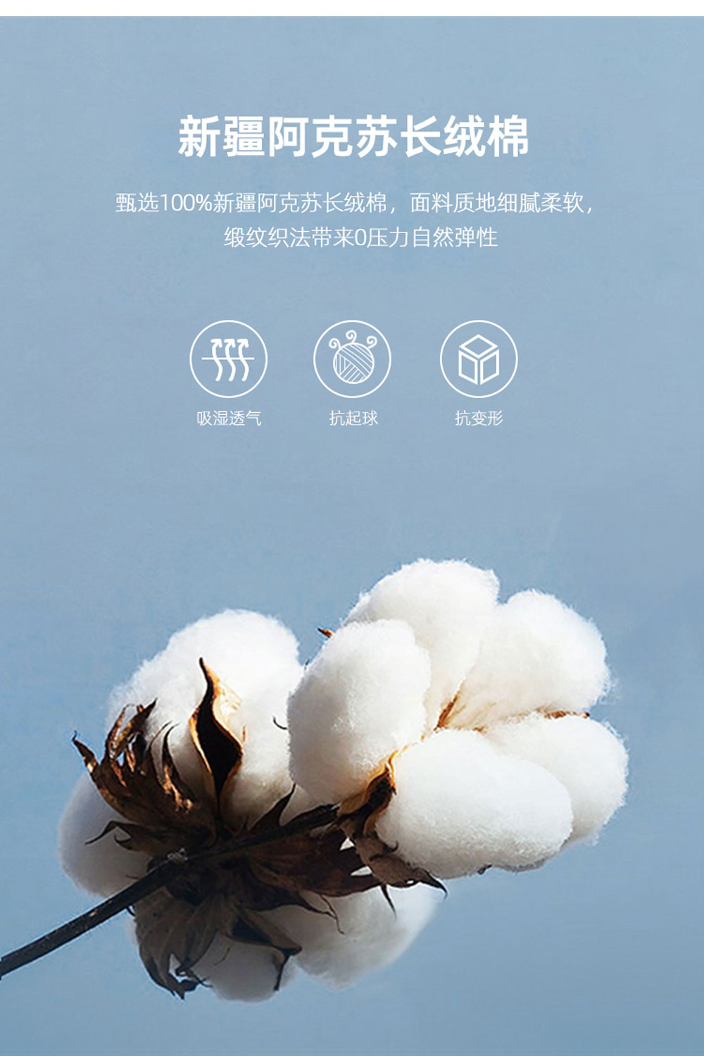 200支全棉DP成衣免烫衬衫