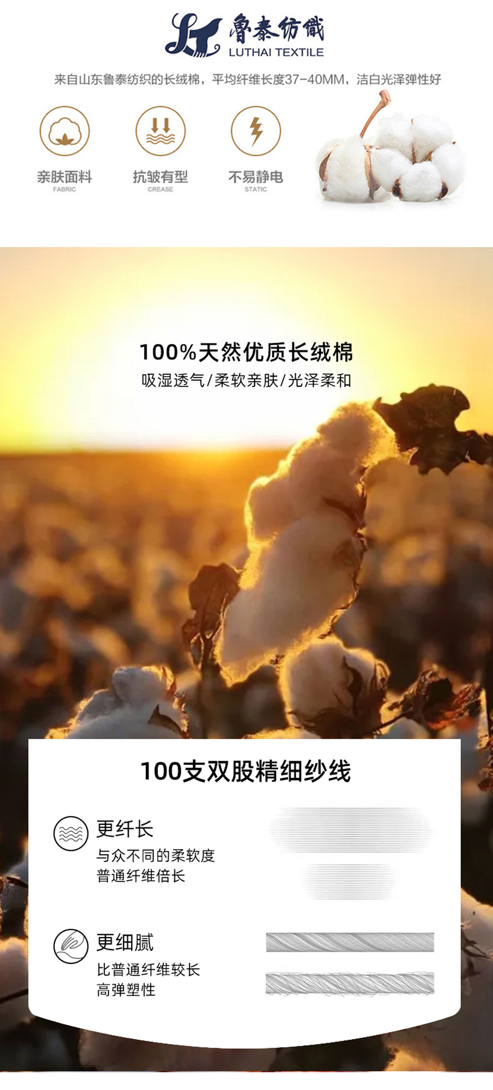 100支全棉DP条/格纹衬衫