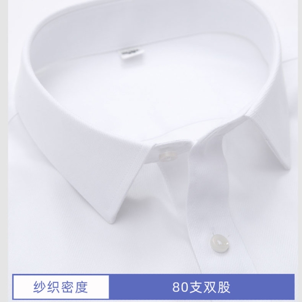 80/100支全棉DP免烫衬衫